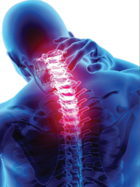 Read more about the article Navigating Neck Pain!