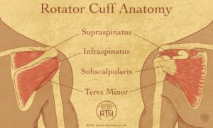 Read more about the article Ask Dr. Blair: Rotator Cuff Tendinopathy and what to do about it