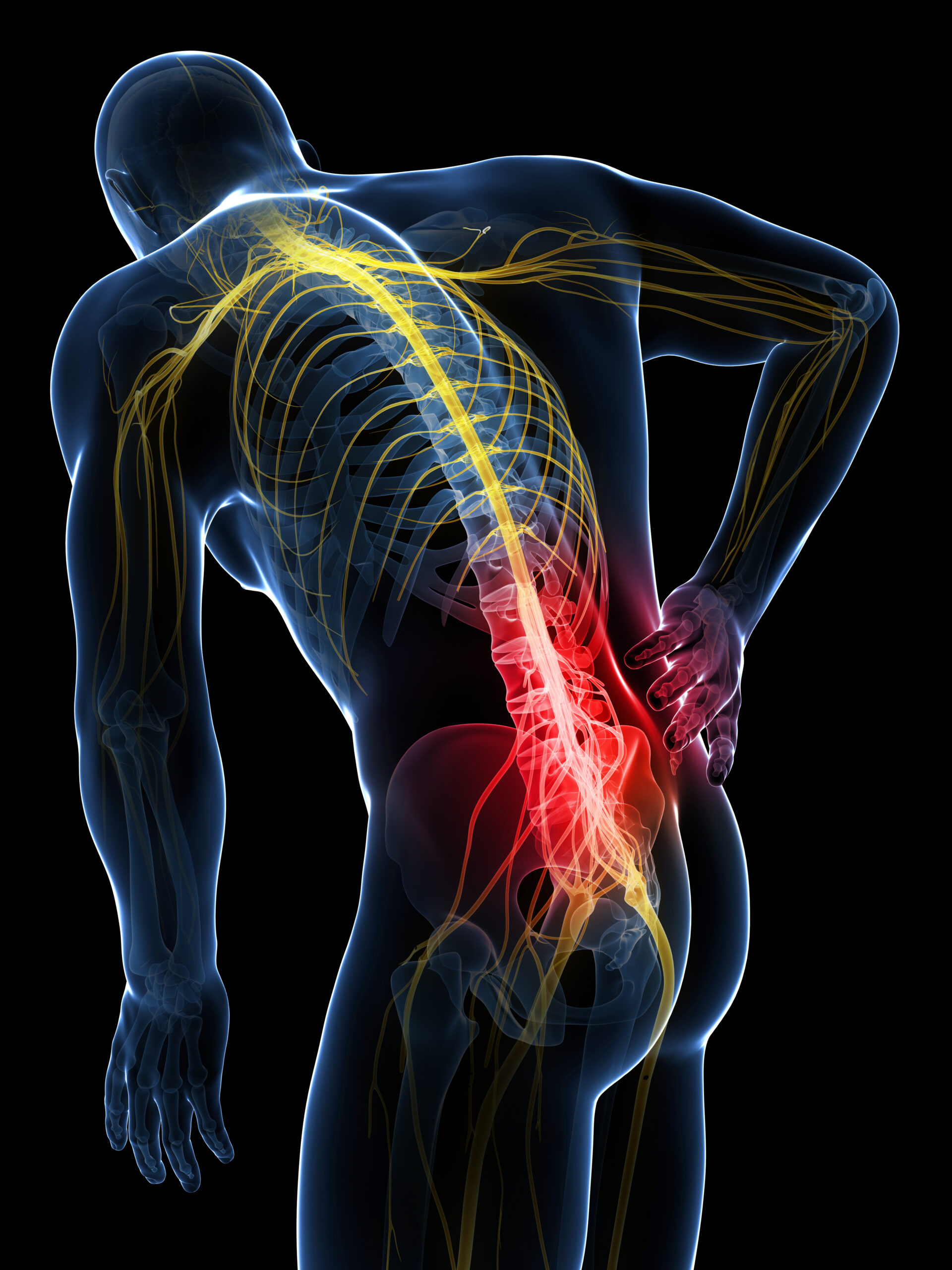 You are currently viewing Sciatic Nerve and Lower Back Pain: An Overview